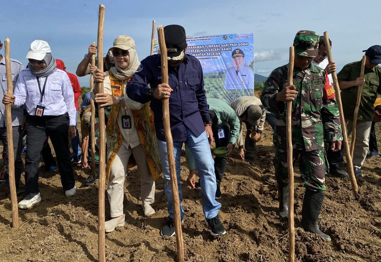Dandim 1009/Tanah Laut Hadiri Pencanangan Penanaman Tumpang Sari Padi Gogo