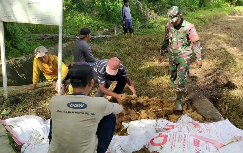 Sukseskan Swasembada Pangan, Babinsa Bantu Petani Olah Lahan Pertanian