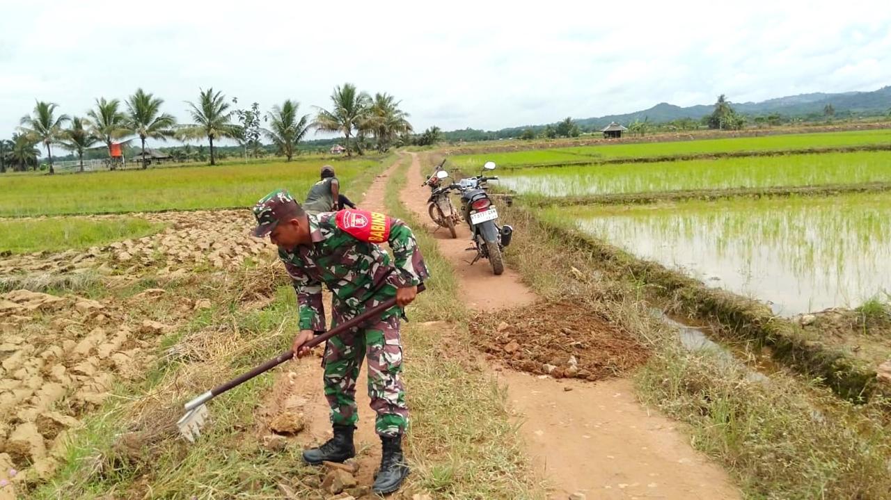 Babinsa Bersama Warga Lakukan Pembersihan Jalan Usaha Tani