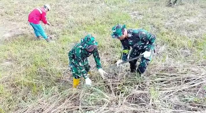 Karya Bakti Koramil 1006-03/Simpang Empat: Penghijauan Lingkungan