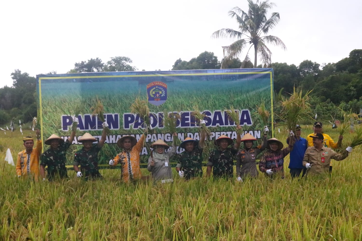 Bersama Pj. Wali Kota Tarakan,Dandim 0907/Trk Pimpin Panen Padi Bersama Pok Tani Mandiri