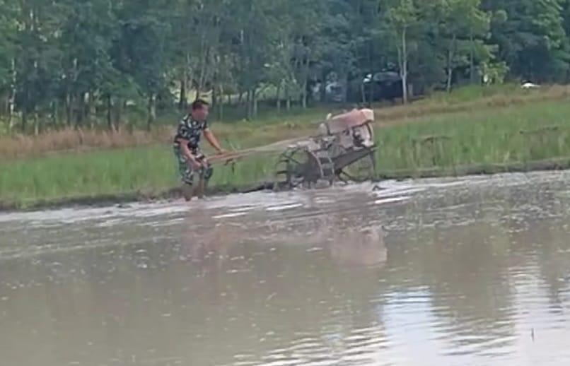 TNI Turun Langsung Bantu Petani Tanah Laut Wujudkan Swasembada Pangan