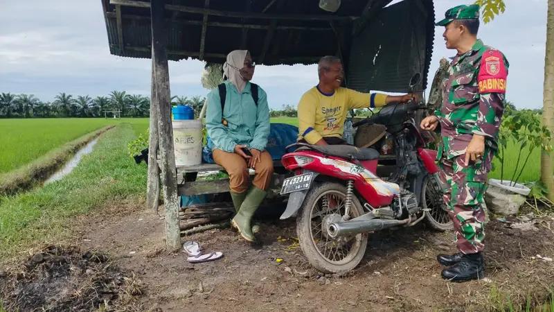 Guna Meningkatkan Ketahanan Pangan, Babinsa Sidorejo Komsos Dengan Petani