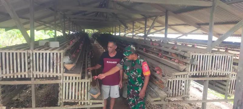 Babinsa Girimukti Komsos Dengan Peternak Ayam Petelur