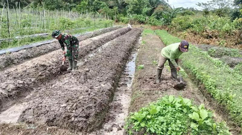 Pendampingan Hanpangan, Babinsa Sesumpu Bantu Petani Siapkan Lahan