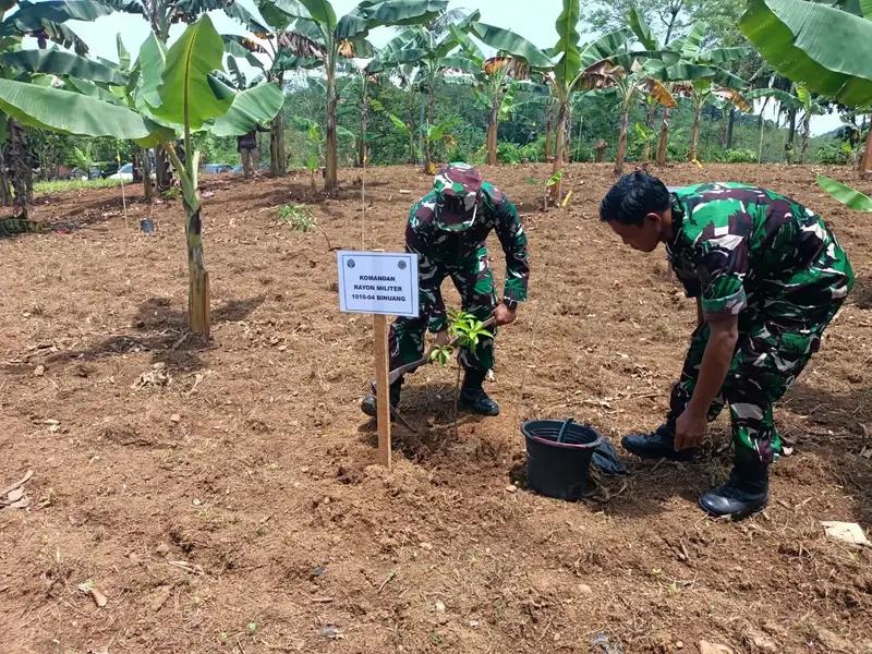 Meningkatkan Ketahanan Pangan, Danramil 1010-04/Binuang Dukung Program Agroforestri