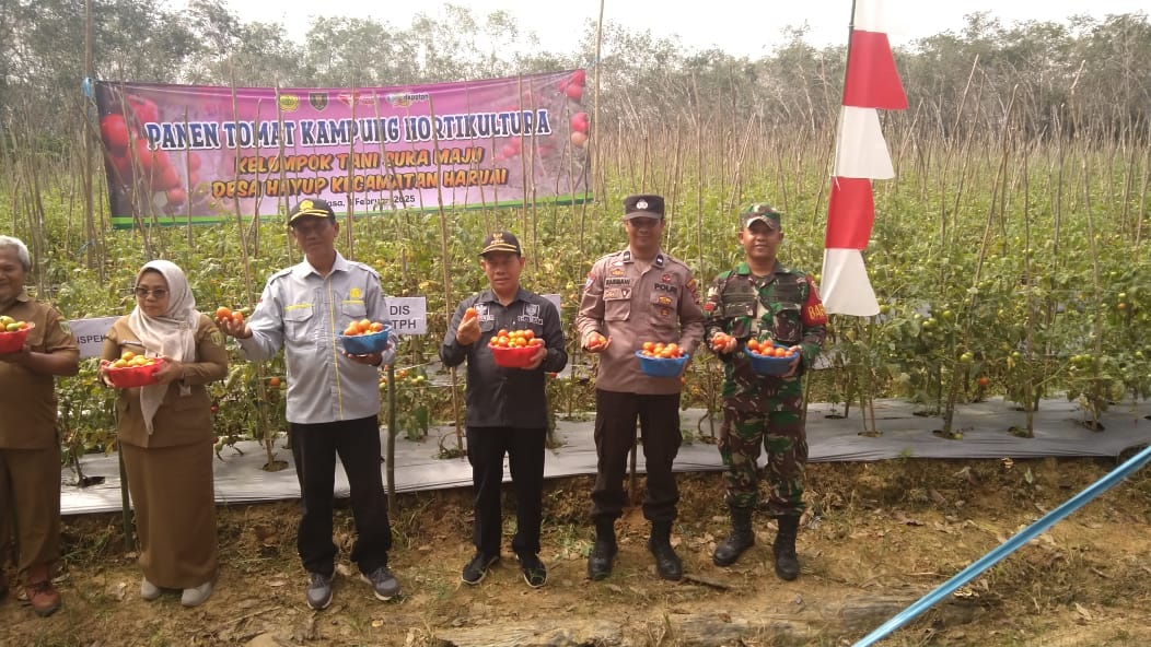 Penguatan Sektor Pertanian, Koramil 1008-02/Haruai Siap Dampingi dan Motivasi Petani