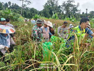 Dukung Ketahanan Pangan, Anggota Koramil 0910-06/Malsel Bantu Panen Padi