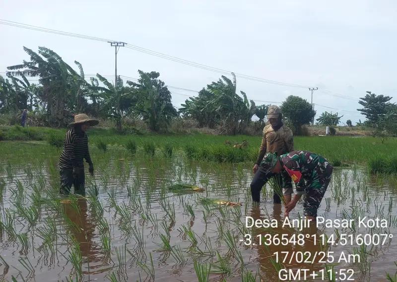 Babinsa Koramil 1005-09/Anjir Pasar: Garda Terdepan Meningkatkan Produktivitas Pertanian