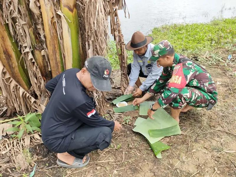 Babinsa Koramil 1001-06/Amuntai Utara Berperan Aktif dalam Pengendalian Hama Tikus