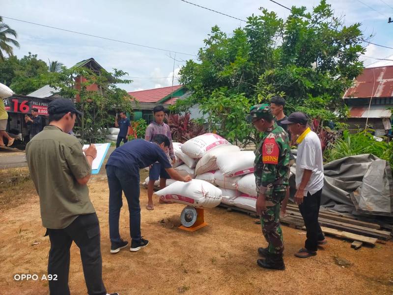 Pendampingan Sergab Babinsa Koramil 1010-03/Tapin Selatan Bersama Bulog di Desa Timbaan
