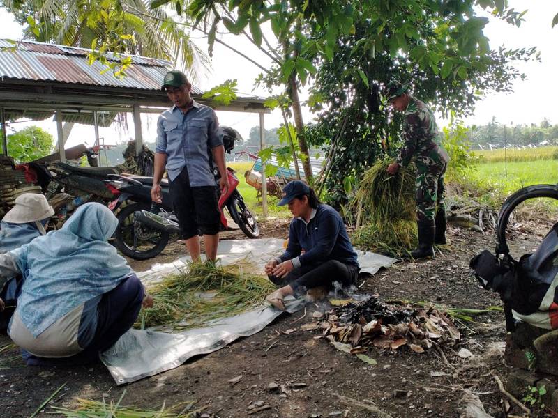 Babinsa Koramil 1003-02/Padang Batung Laksanakan Kegiatan Ubinan Untuk Meningkatkan Ketahanan Pangan