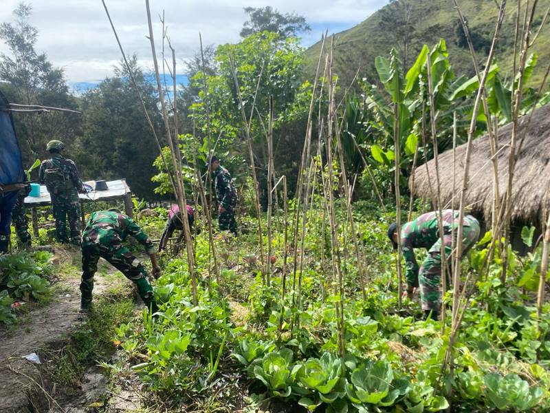 Berkebun Sayur Bersama Satgas Yonif 614/RJP, Masyarakat Distrik Malagai Wujudkan Ketahanan Pangan