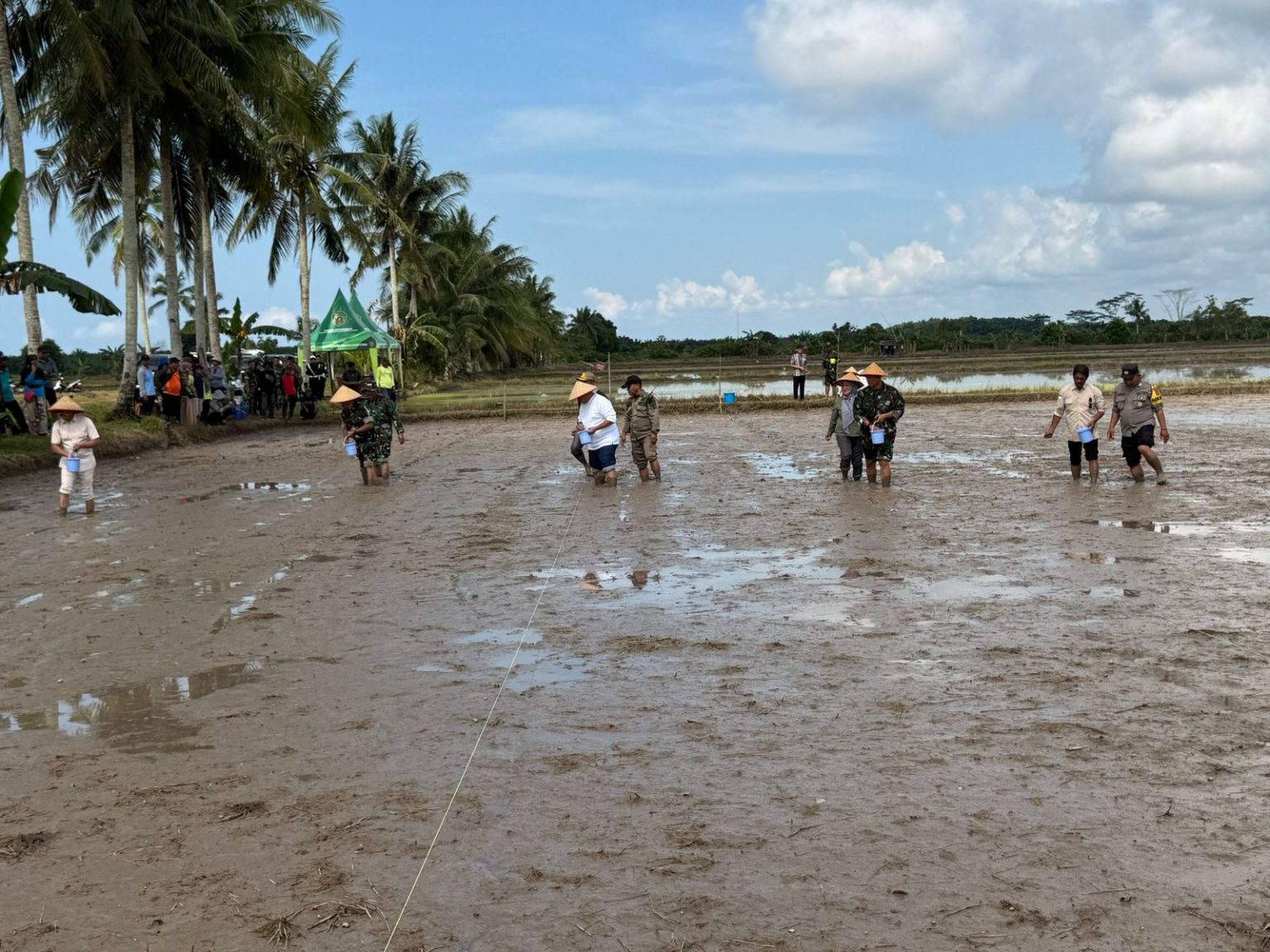 Sukseskan Swasembada Pangan, Danrem 091/ASN dan Bupati PPU Tanam Padi di Desa Sidorejo