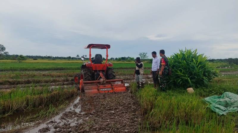 Babinsa Sidorejo Koramil 01/Penajam Dampingi Petani Mengolah Lahan