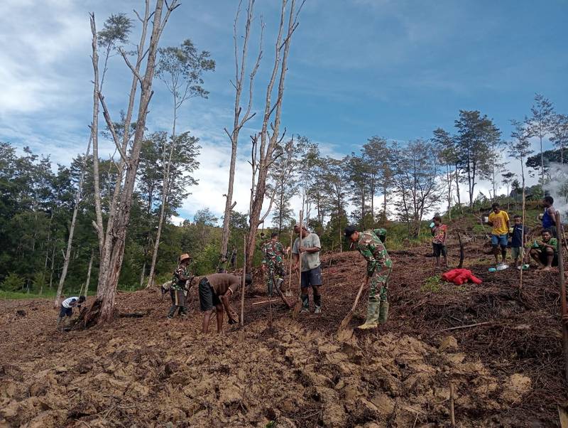 Satgas Yonif 614/RJP dan Masyarakat Bersinergi Buka Lahan di Tiom