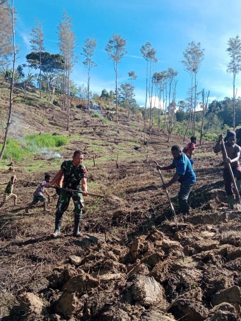 Warga Kampung Ninabua Terima Bantuan Satgas Yonif 614/RJP untuk Berkebun