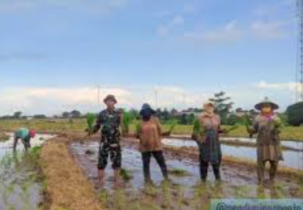 Dukung Program Pemerintah dalam MBG untuk Asta Cita, TNI Aktif di Forum RT/RW