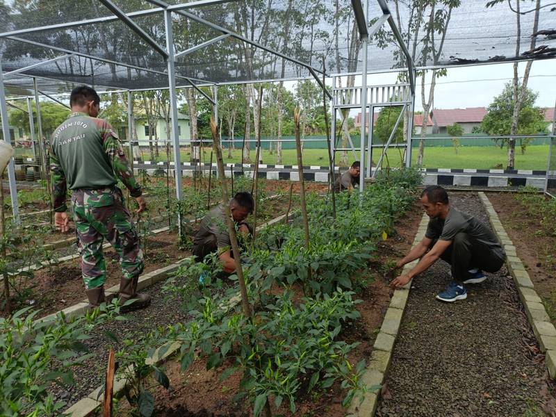 Kodim 1010/Tapin Wujudkan Ketahanan Pangan Melalui Pengelolaan Rumah Hijau