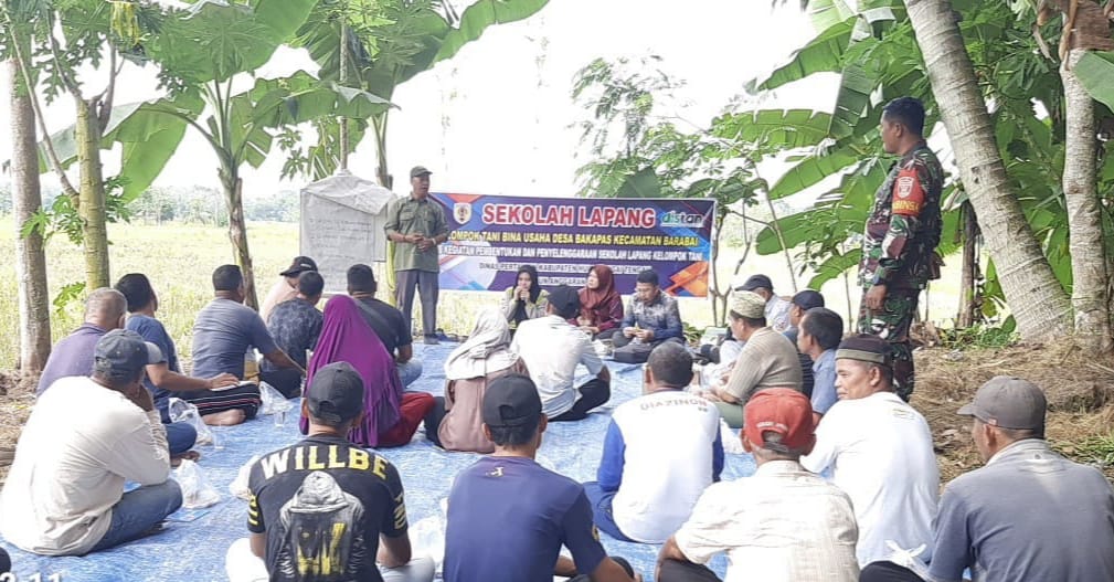 Wujud Nyata Ketahanan Pangan, Babinsa Koramil 1002-06/Barabai Dampingi Sekolah Lapang