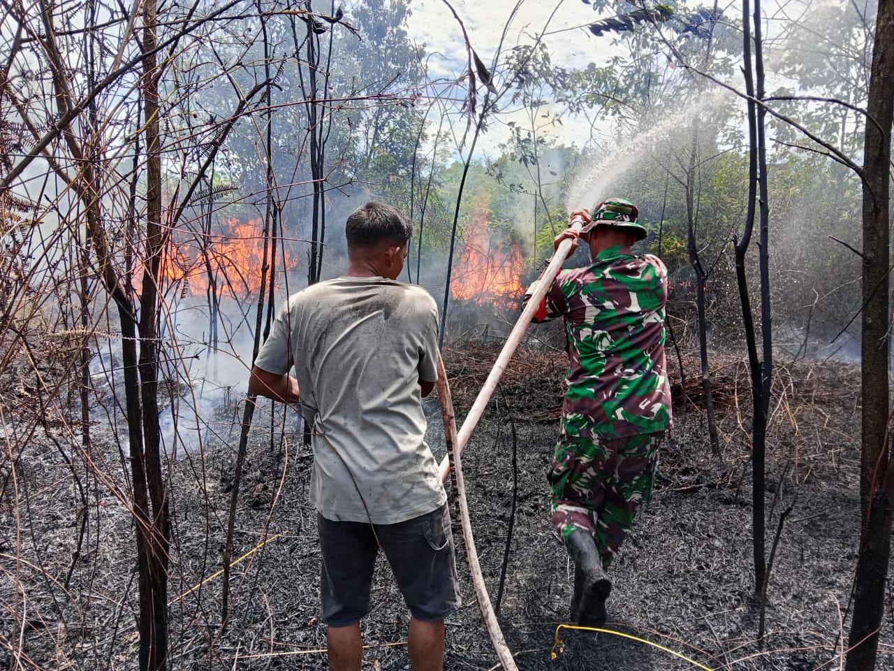 Aksi Sigap Babinsa Koramil 0902-04/Trd Padamkan Karhutla di Teluk Bayur