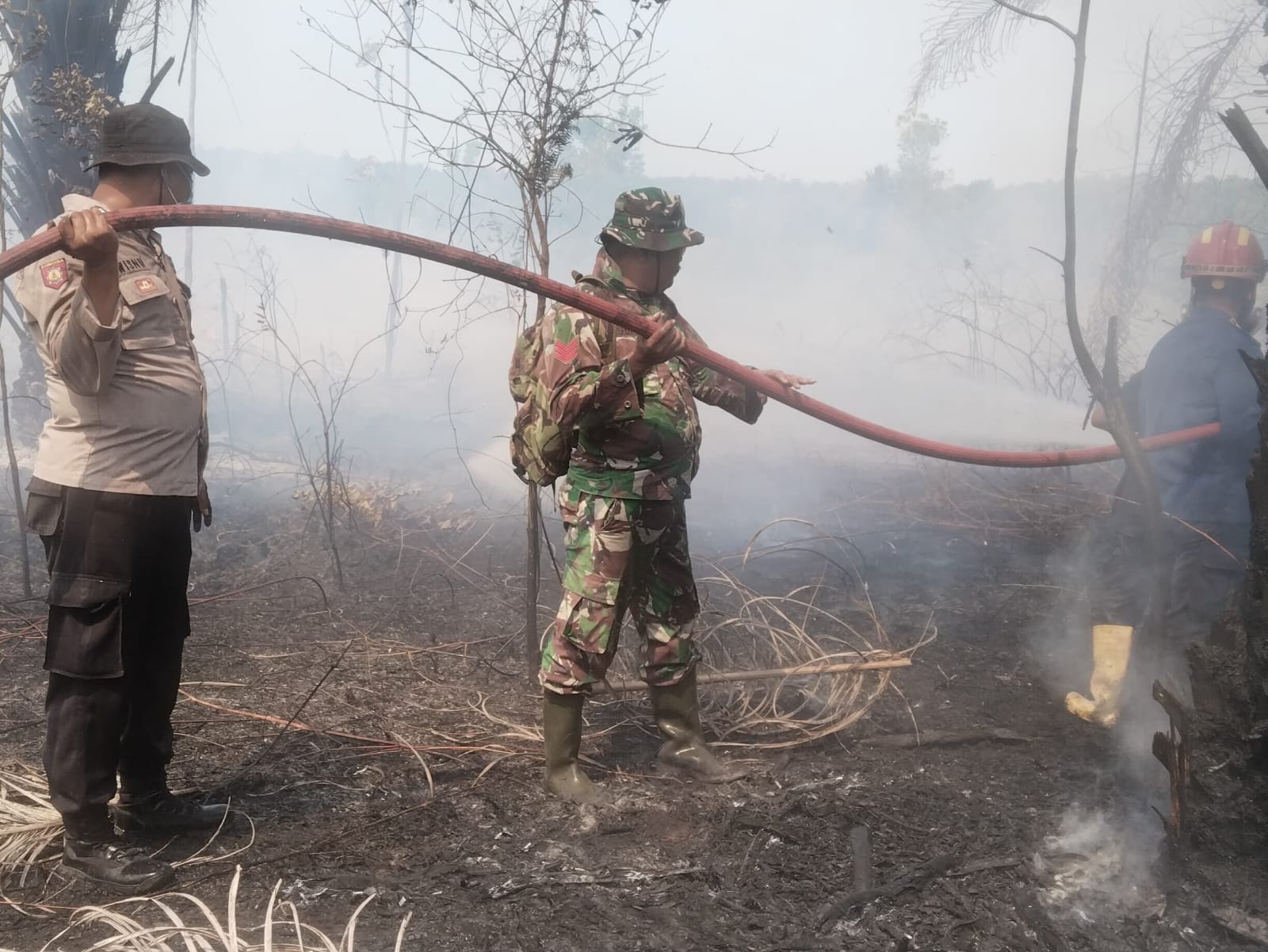 Gerak Cepat Tim Gabungan Jinakkan Karhutla di Babulu Darat