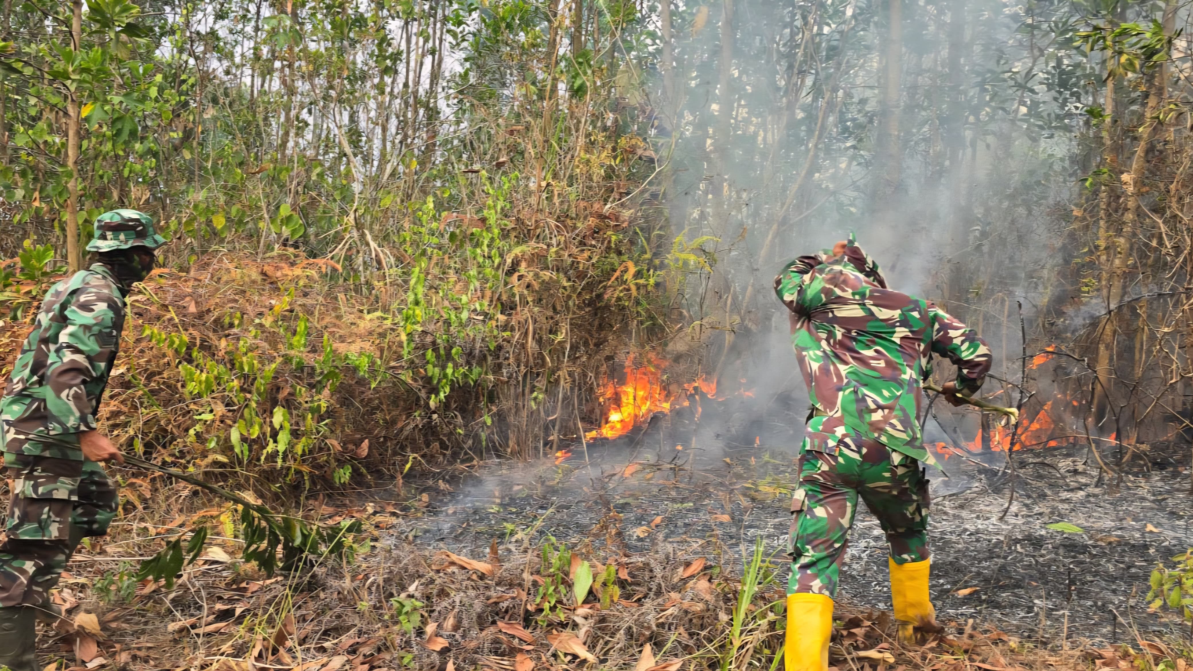 TNI Perkuat Penanganan Karhutla di Delineasi IKN, Helikopter Caracal Lakukan Water Bombing